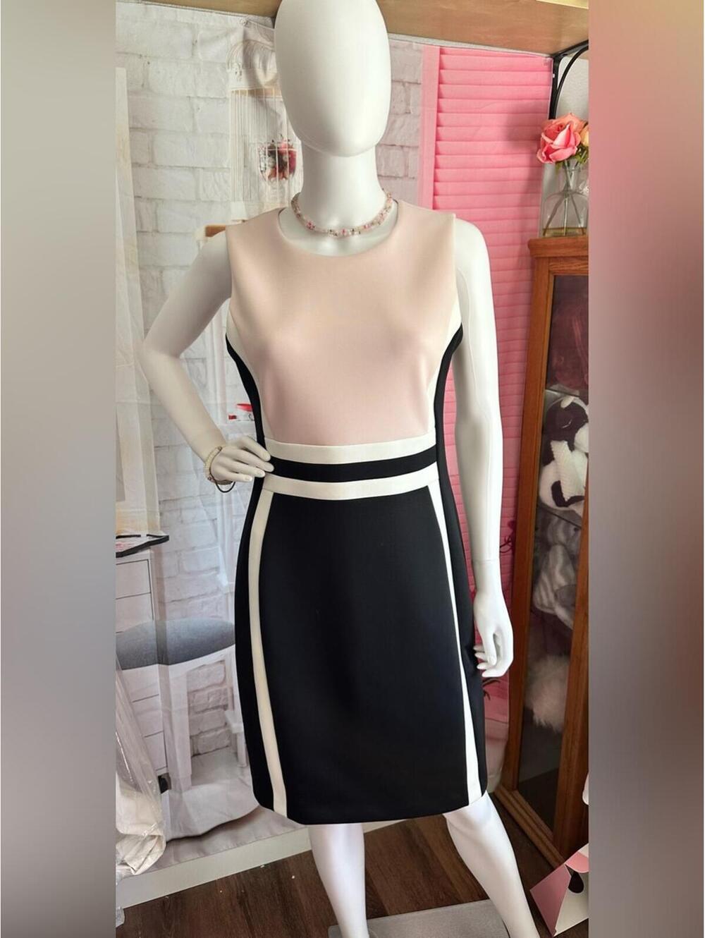 Calvin Klein Colorblock Sleeveless Sheath Dress